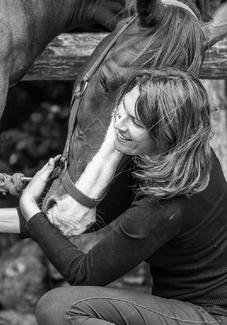 Caval'Osmose - Anne-Sophie Tréhour : éducation et bien être du cheval -  Aujourdhui on souhaite un tres joyeux anniversaire au plus gentil des  trotteurs 🎁🎂🎊🎉 14 ans ! C'est fou comme le