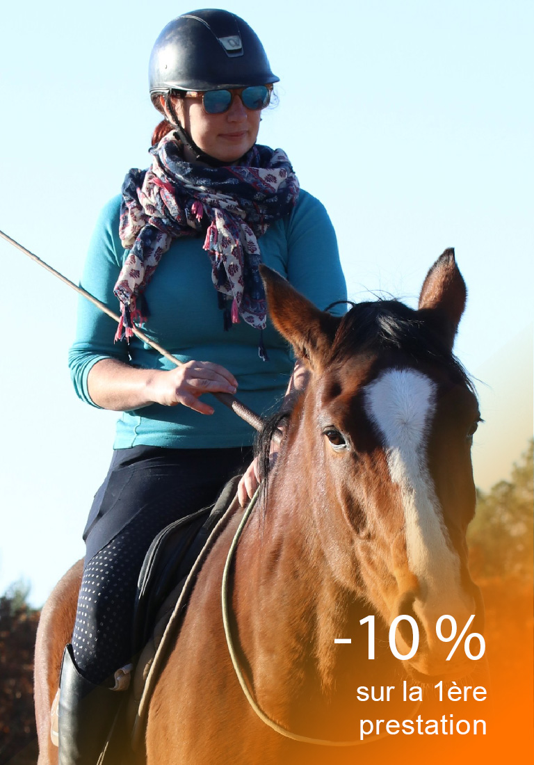 Charlotte Barlaud Hup's Sport, monitrice d'équitation et comportementaliste équin