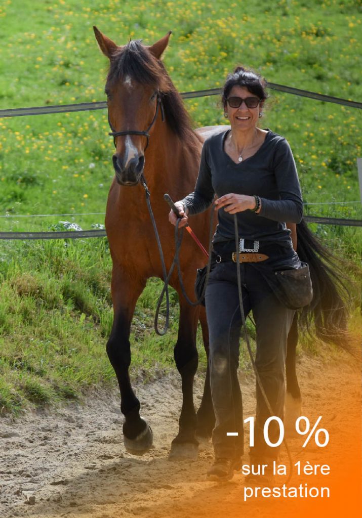 Mélina Saunier monitrice en travail postural du cheval Hup's Sport