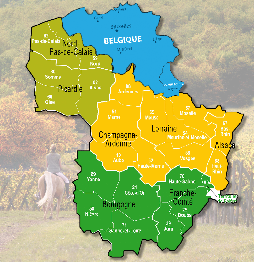 Moniteur d'équitation dans le nord est de la France, la Belgique et le Luxembourg Hup's Sport